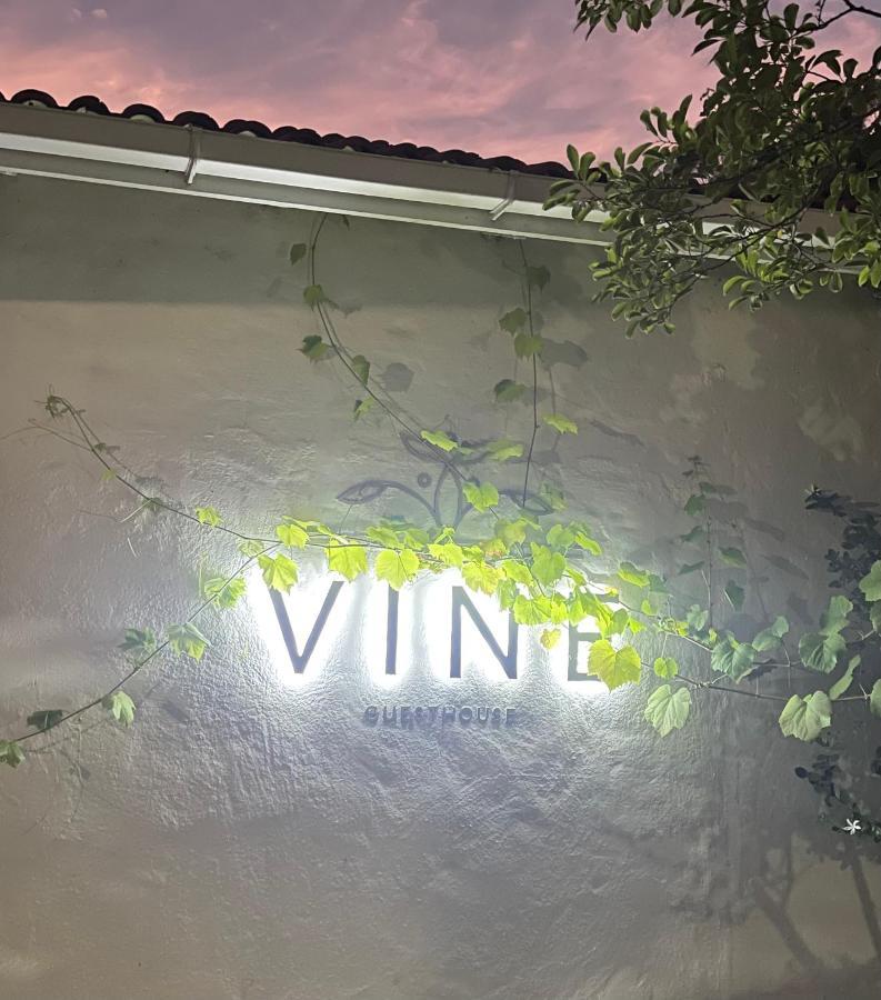 Vine Guesthouse Stellenbosch Kültér fotó