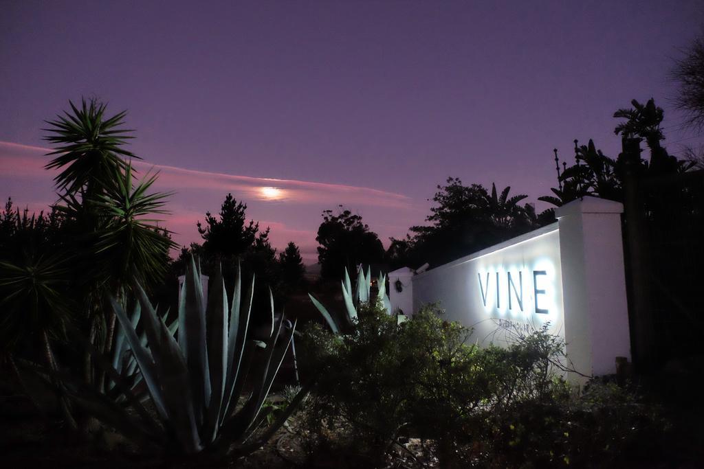Vine Guesthouse Stellenbosch Kültér fotó