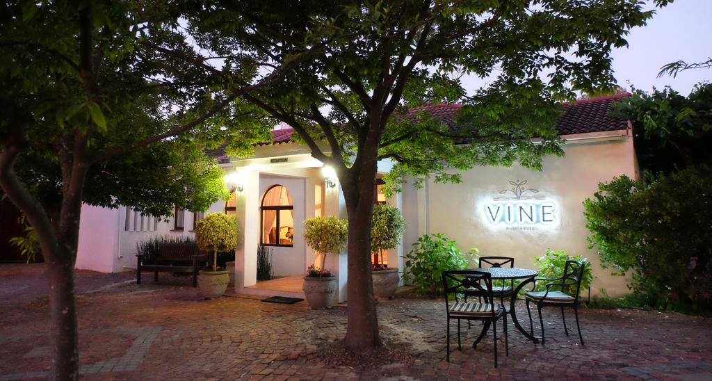 Vine Guesthouse Stellenbosch Kültér fotó