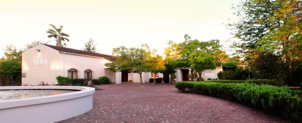 Vine Guesthouse Stellenbosch Kültér fotó
