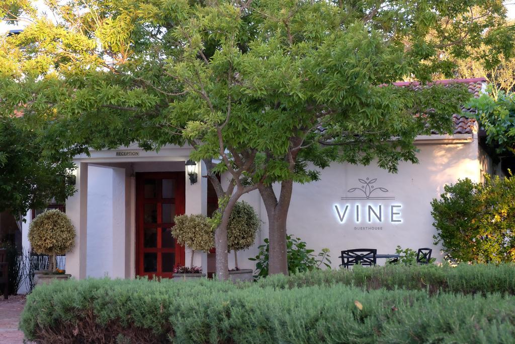 Vine Guesthouse Stellenbosch Kültér fotó