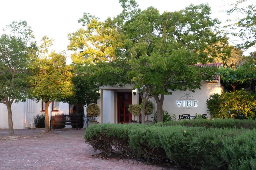 Vine Guesthouse Stellenbosch Kültér fotó