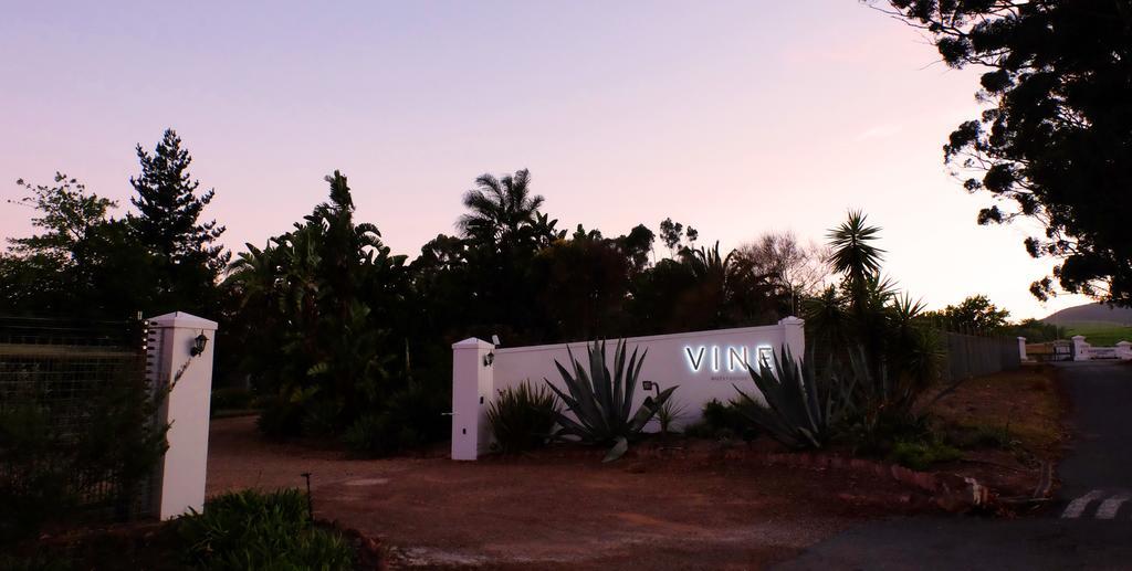 Vine Guesthouse Stellenbosch Kültér fotó