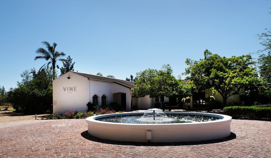 Vine Guesthouse Stellenbosch Kültér fotó