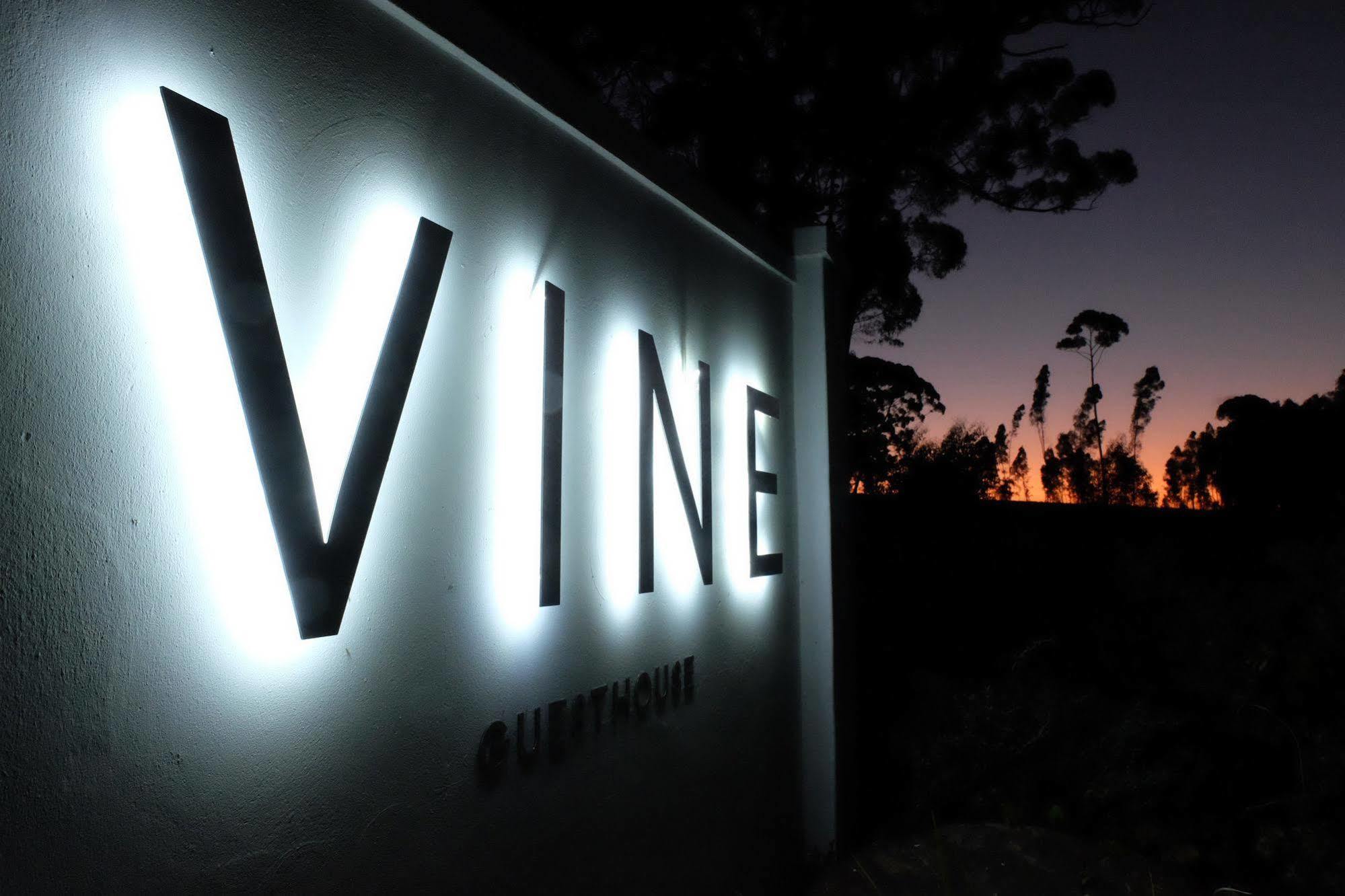 Vine Guesthouse Stellenbosch Kültér fotó