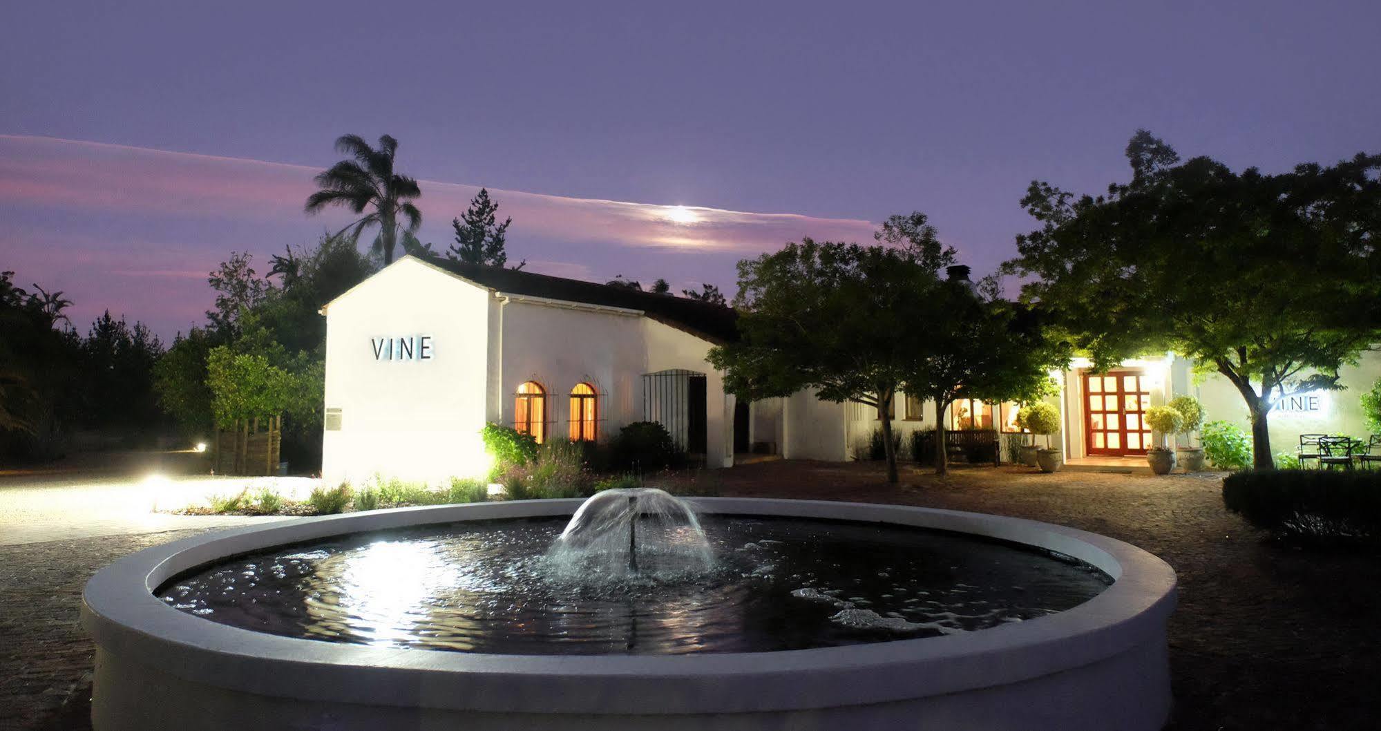 Vine Guesthouse Stellenbosch Kültér fotó