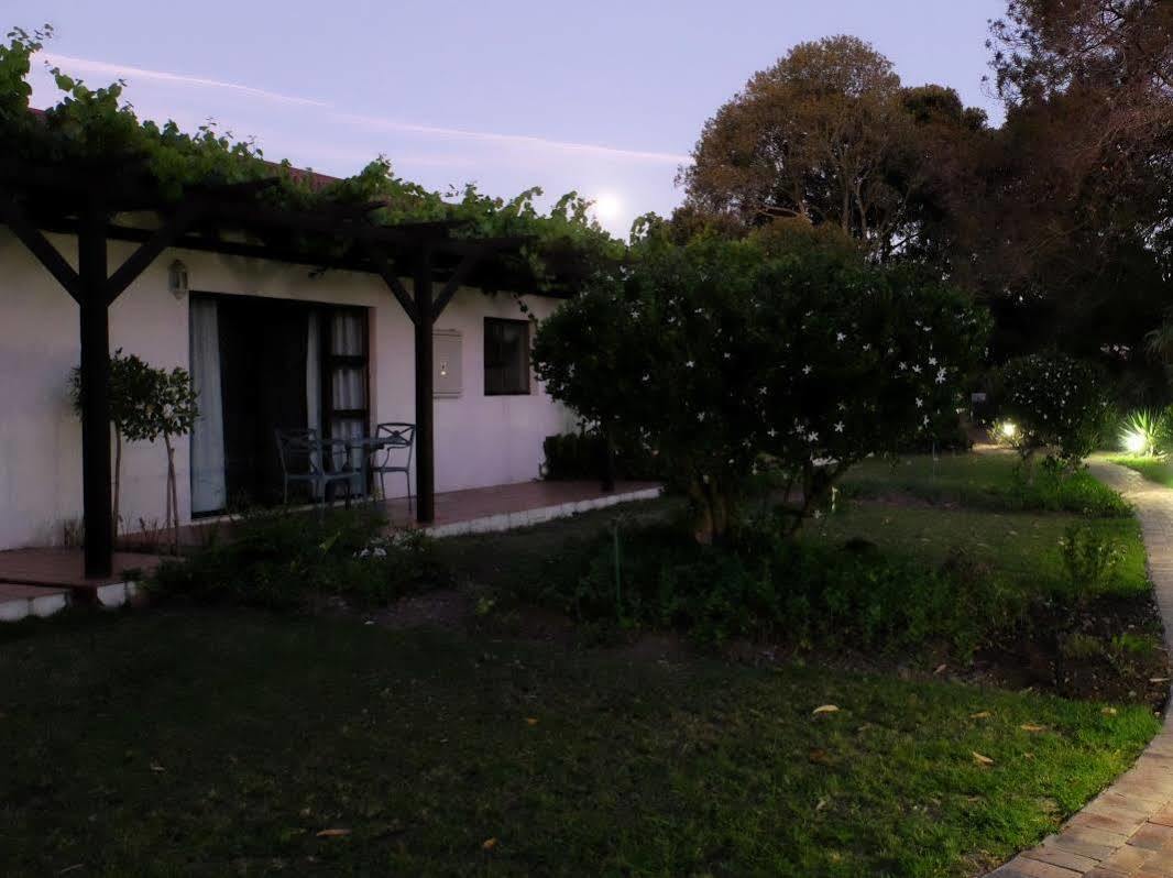Vine Guesthouse Stellenbosch Kültér fotó
