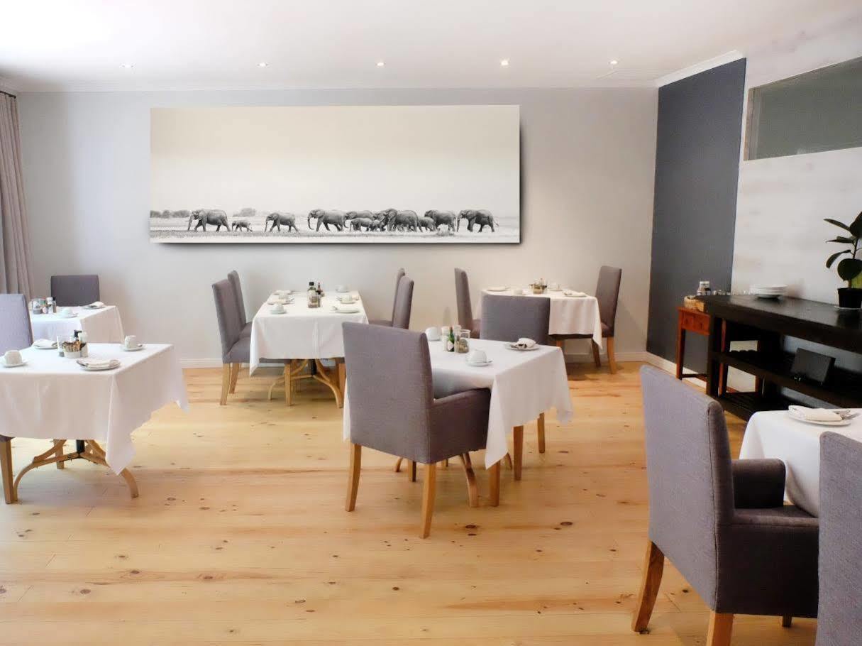 Vine Guesthouse Stellenbosch Kültér fotó